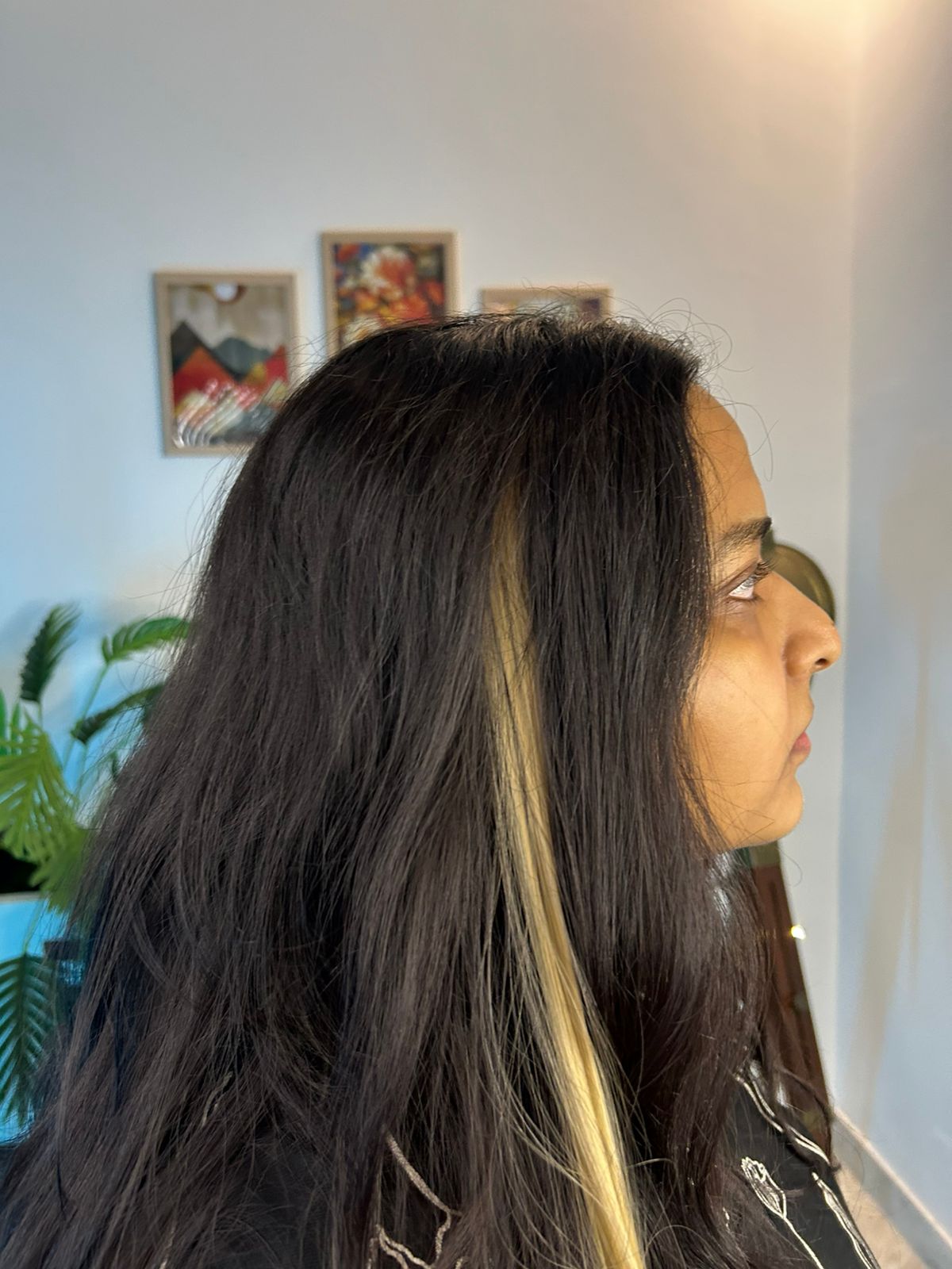 Nanki Colored Streaks - Vibrant Hair Accessory